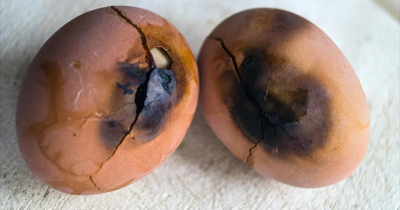 Les recettes qui ratent, et ce qu'elles vous apprennent