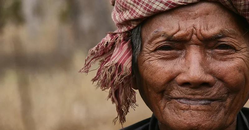 Le Cambodge et ses mygales grillées
